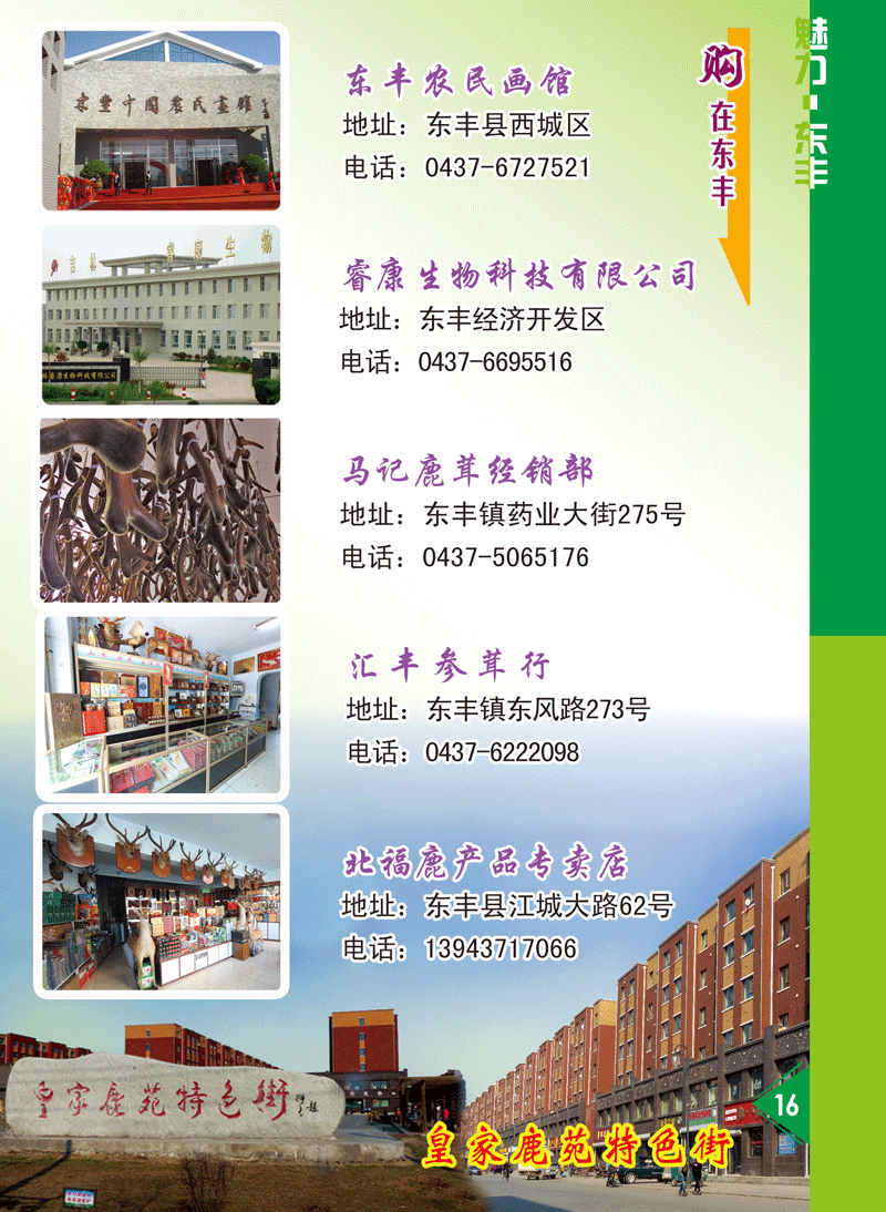 購(gòu)在東豐